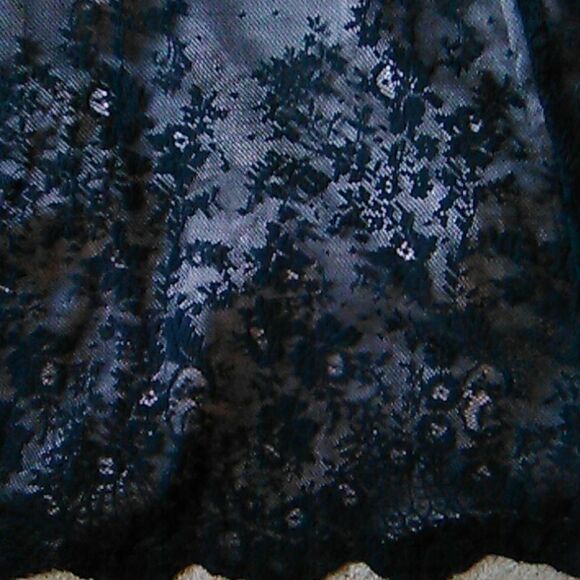 Twenty One Lace Evening Dress - Picture 7 of 12